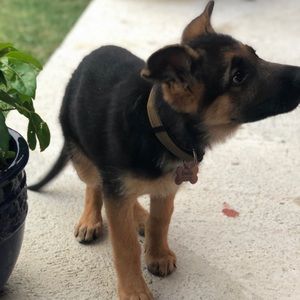 Meet your Posher, Diego